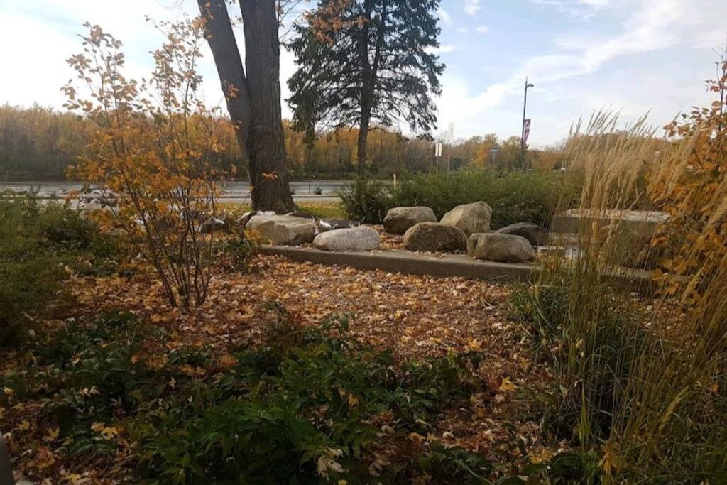 Cozy Sweet Studio #6, 10 Min To D.T. Ottawa Gatineau Ngoại thất bức ảnh